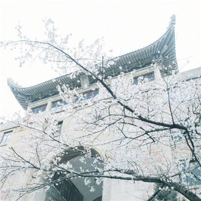 全民奇迹2云游戏下载