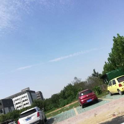 动物联盟大探索官方版下载
